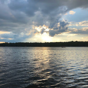 Meet your Posher, Logan